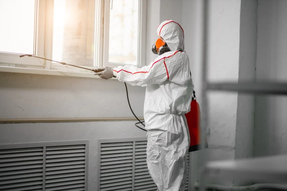Professional mold remediation services in Capron, IL